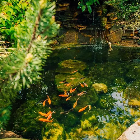 Cayir Cimen 公寓式酒店