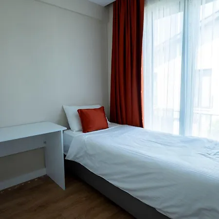 Cayir Cimen 사판자